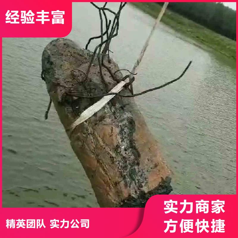 甘肃镇原桥桩水下加固玻纤套筒潜水蛙人公司为业主解决问题