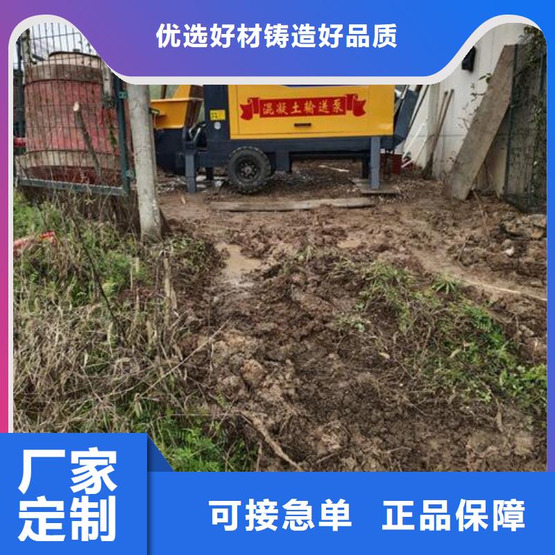 广东省梅州市小型混凝土泵厂家