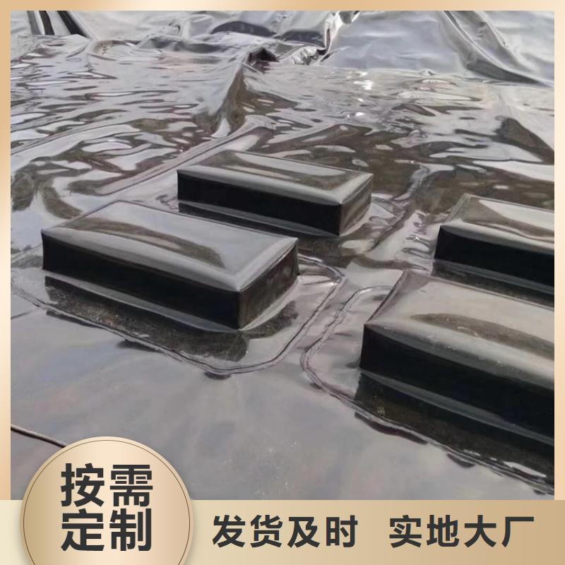 锦州高密度聚乙烯防渗膜-鱼池防渗土工膜