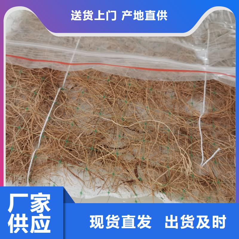 眉山植物生态防护毯-植生椰丝毯质量保证