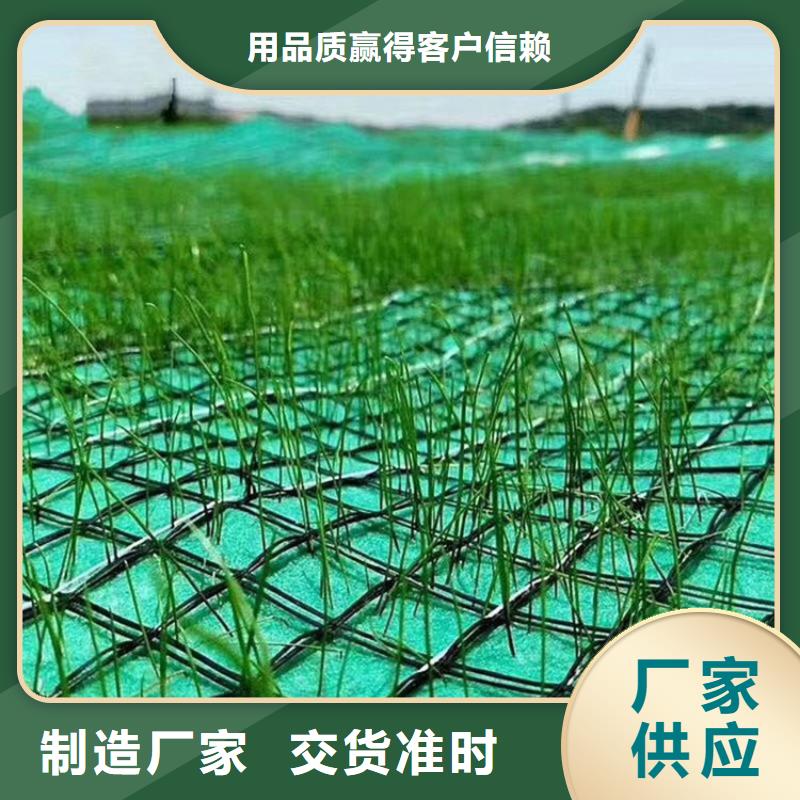 椰丝植生毯-绿化植被毯-纤维草毯价格地道