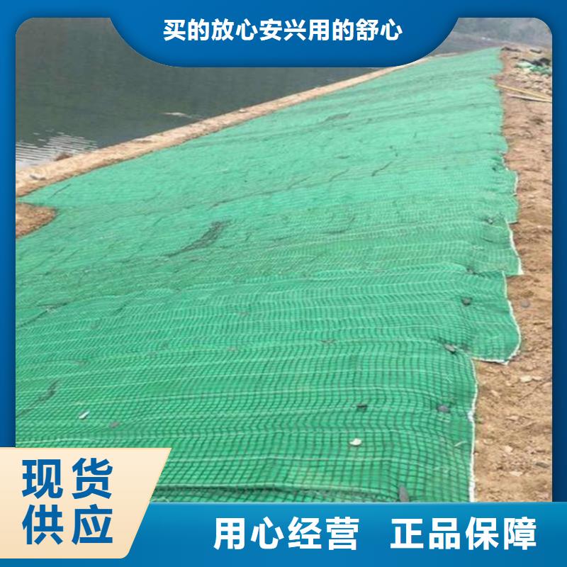 郑州加筋植物纤维毯-植被纤维毯-环保植物毯