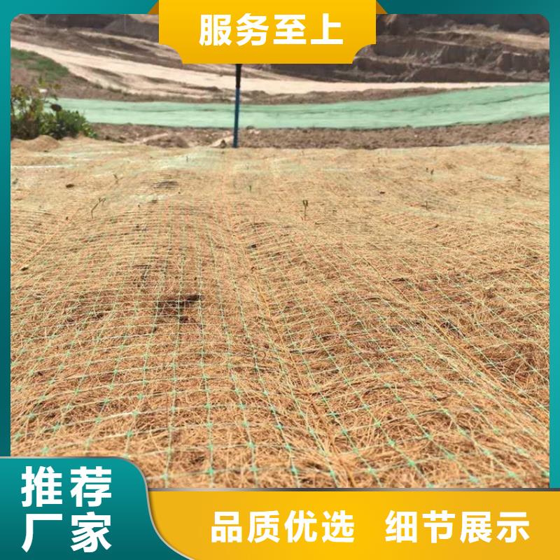 黄山护坡植被植草毯-加筋抗冲生态毯厂家价格