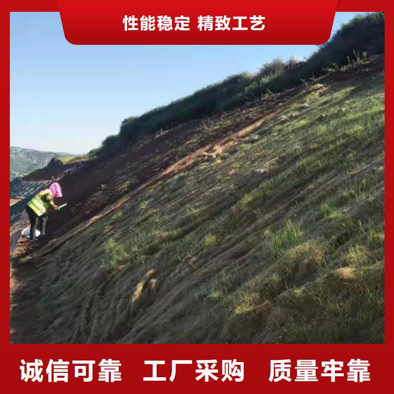 昌江县椰丝生态植物毯-纤维毯植草当地供应商