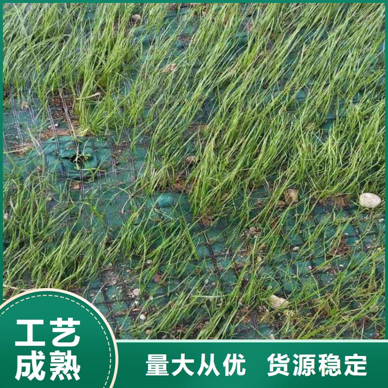 益阳椰纤植生毯 -河道环保草毯