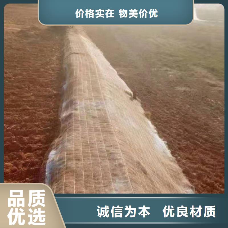 郑州椰丝毯-护坡抗冲植草毯-草种植物纤维毯