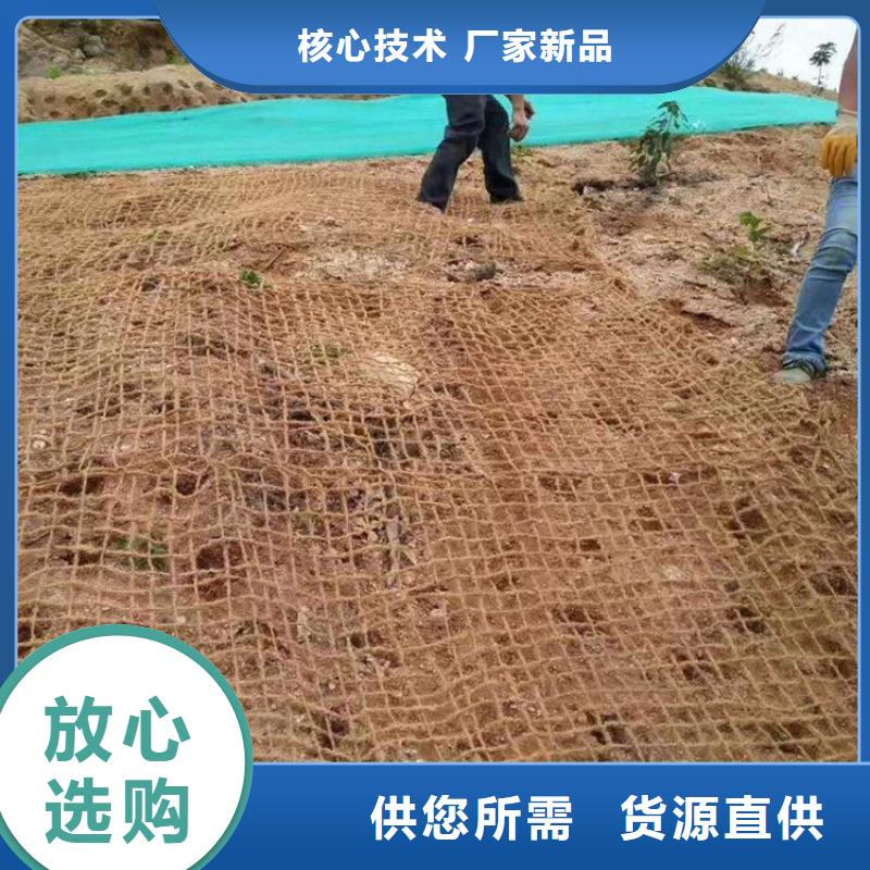 三明护坡植被植草毯-椰纤植生毯 公司动态