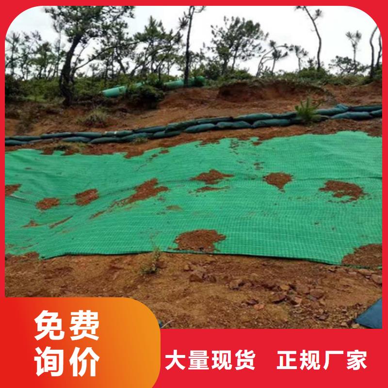 植物纤维毯-生态植草毯-可降解环保草毯本地服务商