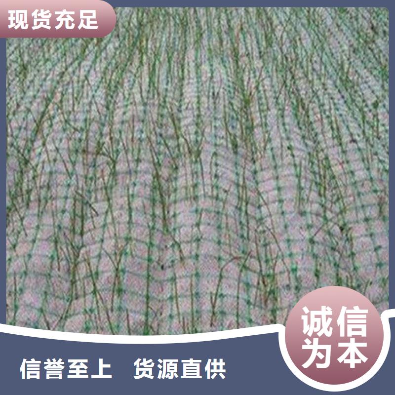 金昌加筋植物纤维毯-抗冲植物毯-生态植被垫