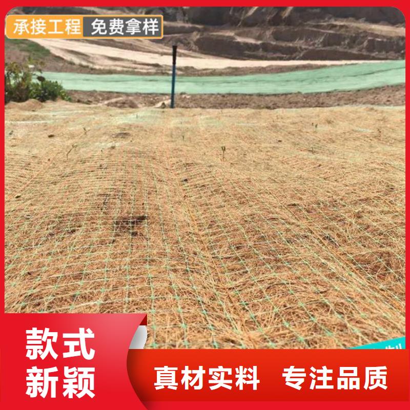 广安护坡植被植草毯-植生椰丝毯经销批发/多少钱一平