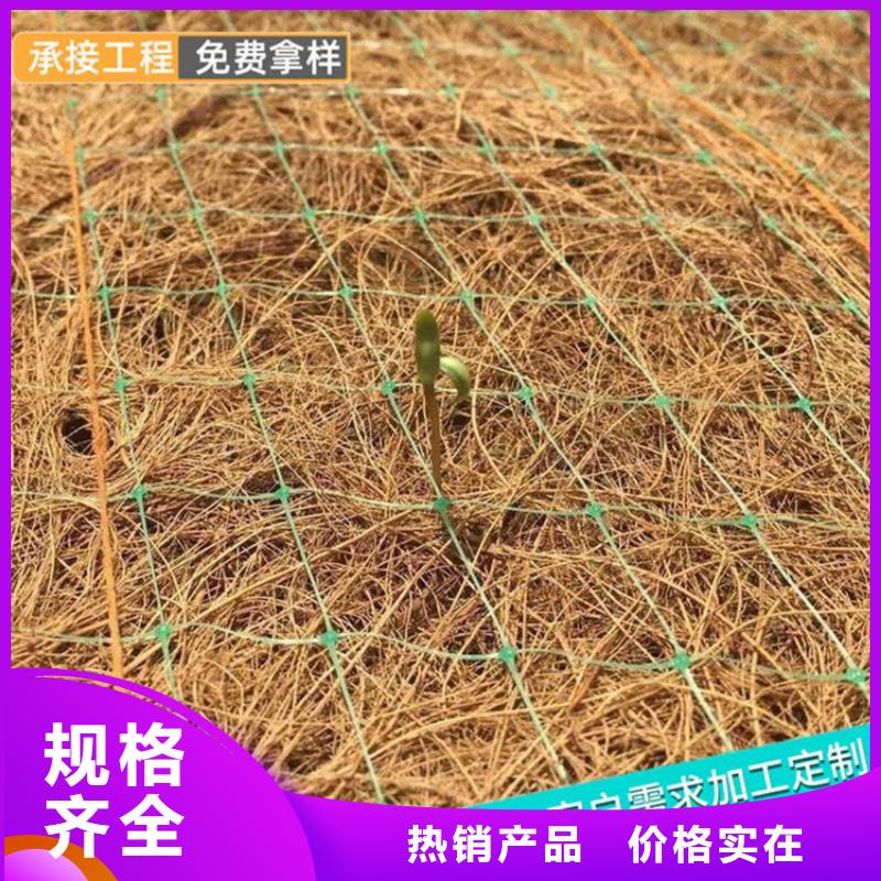 盘锦椰纤植生毯 护坡植被植草毯图片