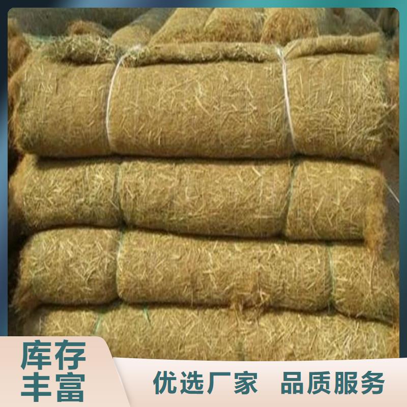 杭州加筋植物纤维毯-铁路植生毯 -植生草毯