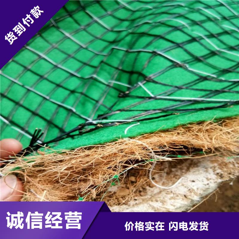 北京植物纤维毯-抗冲加筋生态毯-椰丝植被垫