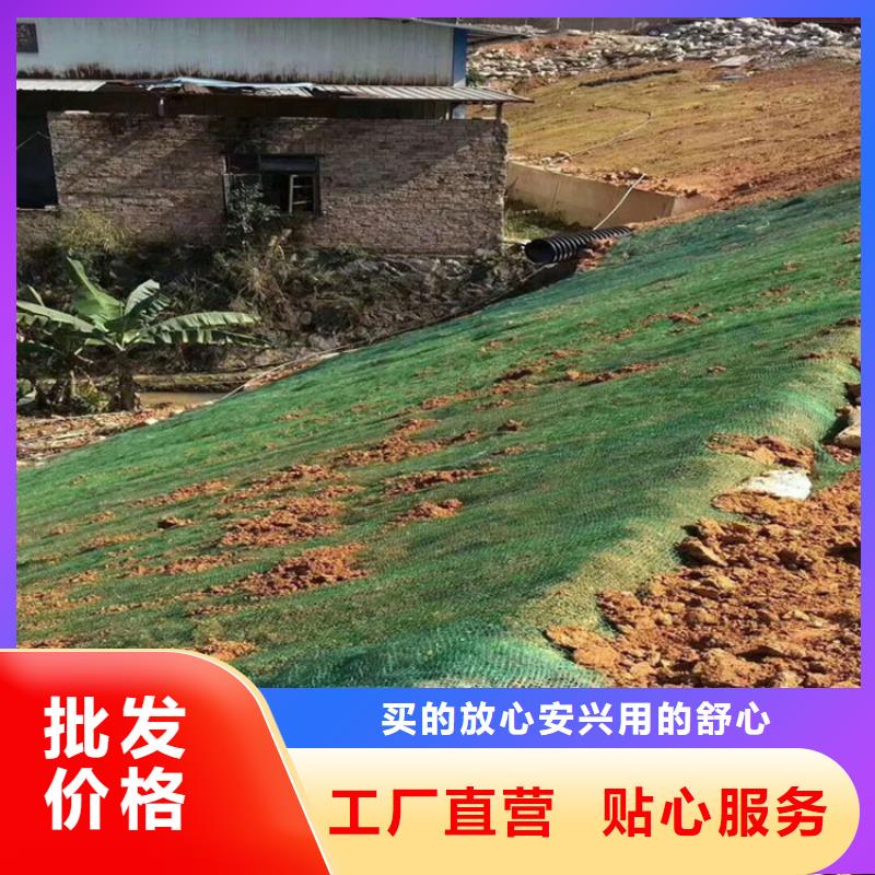 怒江椰纤植生毯-绿化草毯