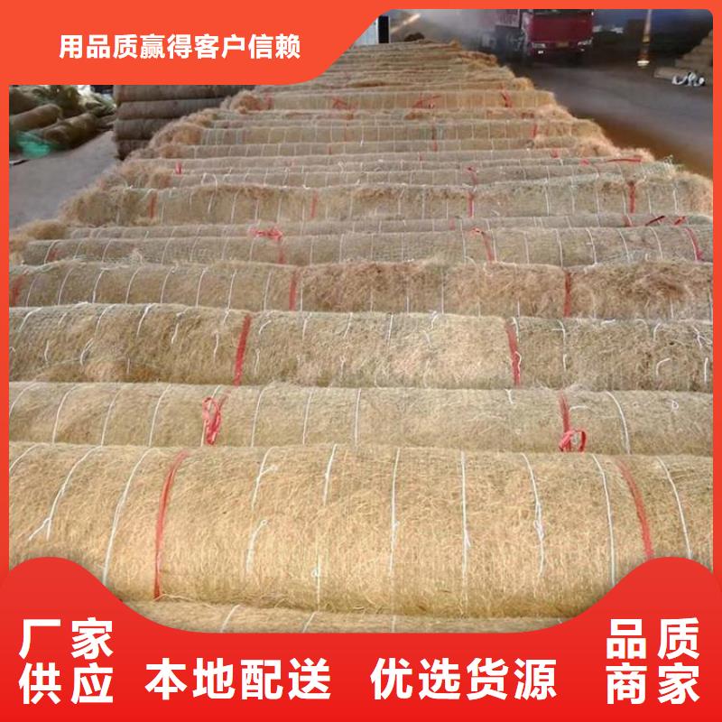 枣庄椰纤植生毯 加筋抗冲生物毯