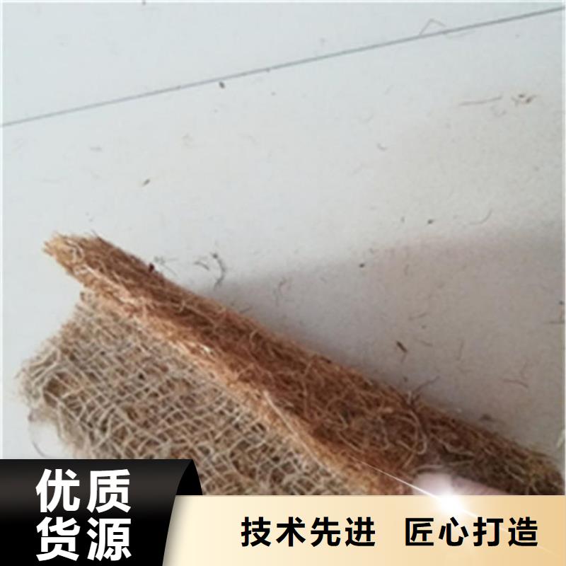 辽宁植生椰丝毯-生态护坡草毯