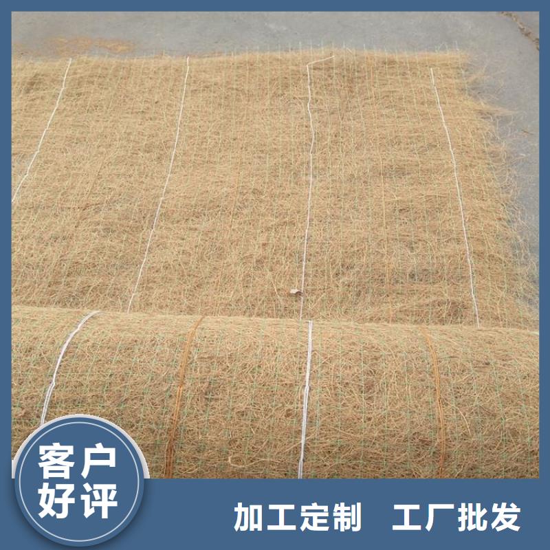 鄂州护坡植被植草毯-椰纤植生毯 规范施工