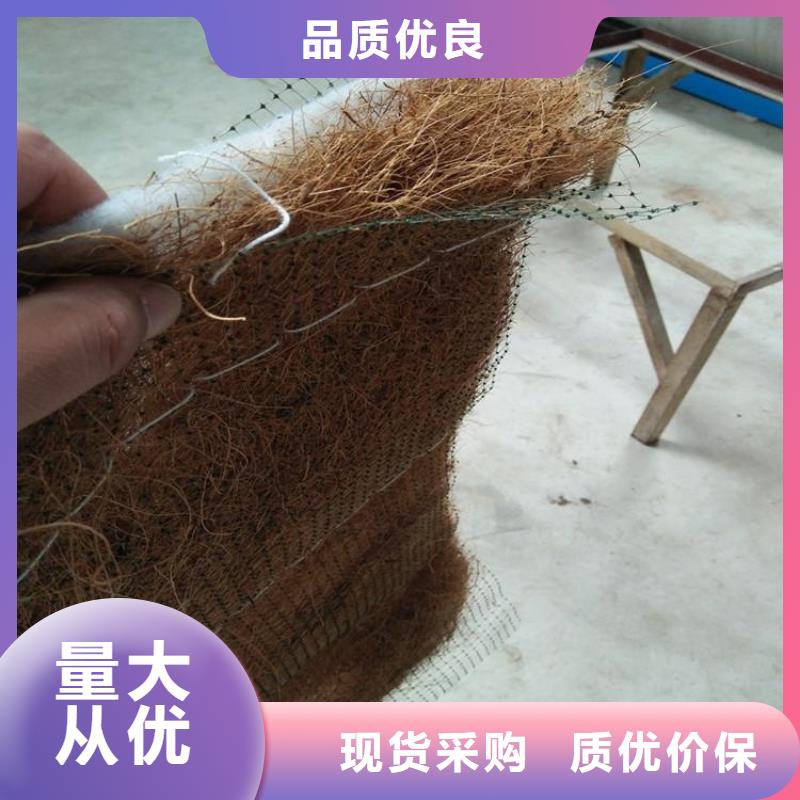 海口加筋抗冲生物毯-椰纤植生毯 性能结构