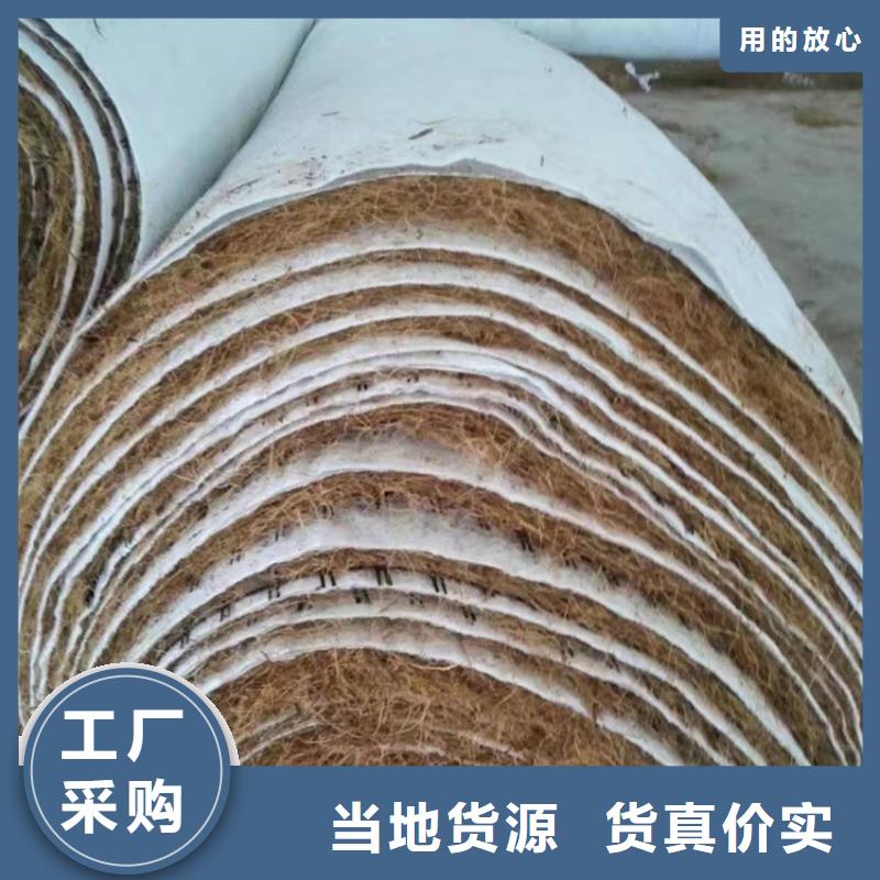 锦州椰纤植生毯 植物纤维毯公司资讯-已更新