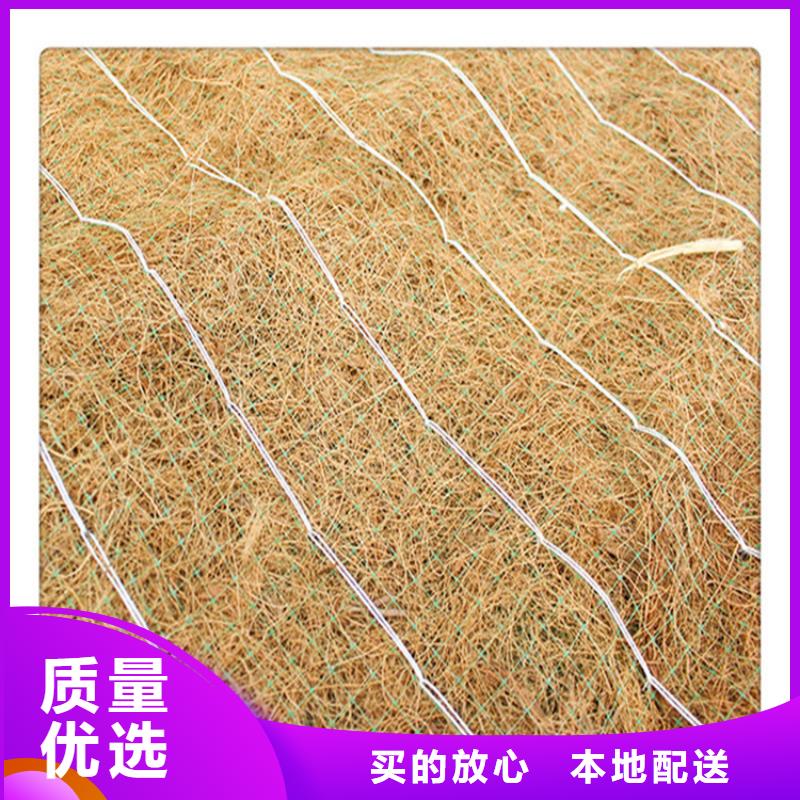金昌椰丝植物纤维毯-抗冲植物毯-护坡草毯