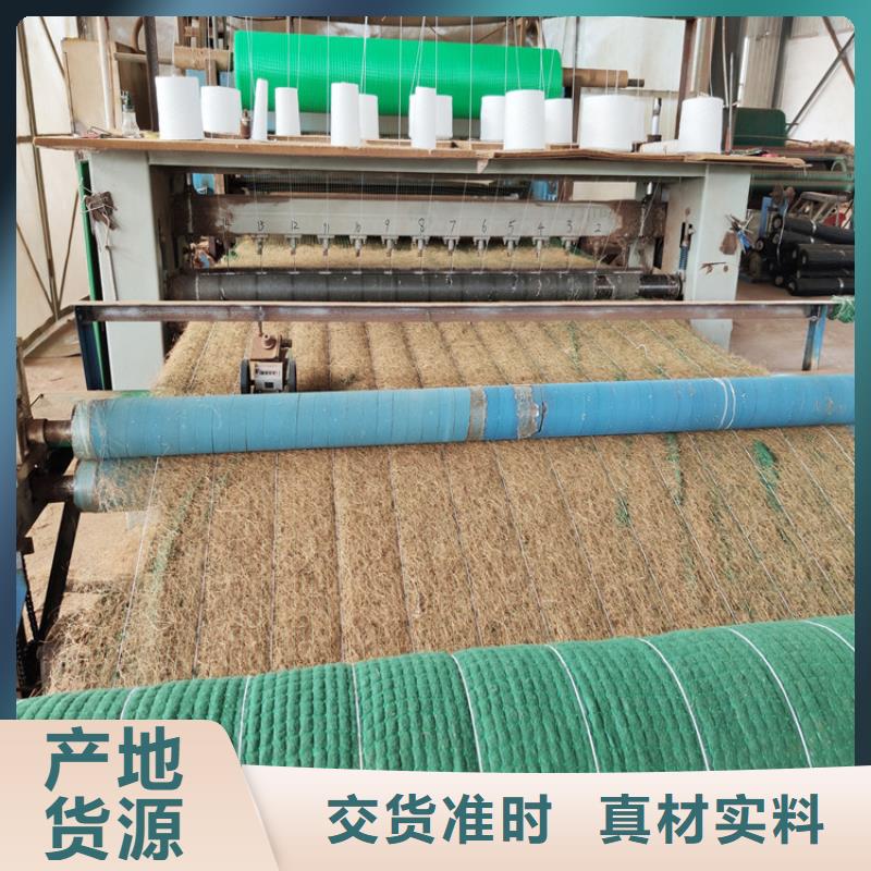 许昌加筋抗冲生物毯-椰纤植生毯 施工大图