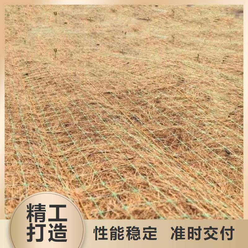 椰丝植物纤维毯-护坡生态毯-边坡植物纤维毯本地货源