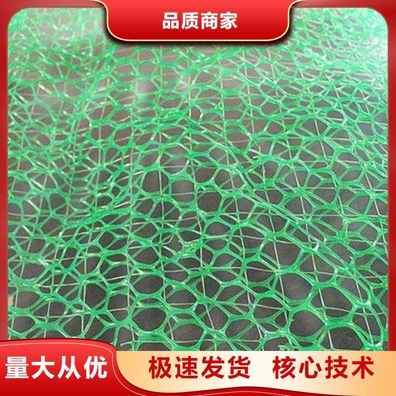 三维土工网垫-植被网产品参数