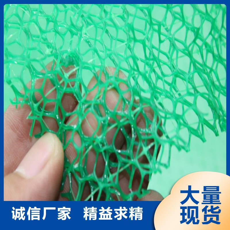三维植被网-三维固土网垫拥有多家成功案例