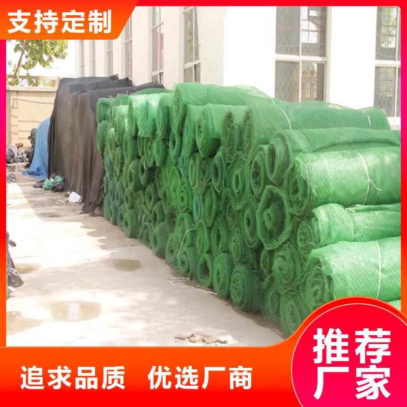 珠海三维护坡植草网垫-三维土工网垫