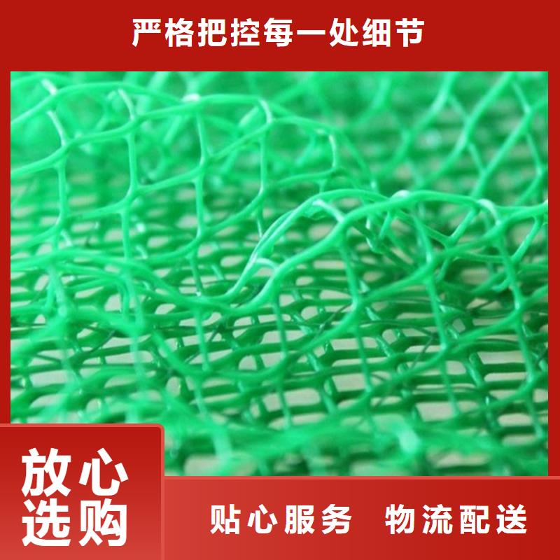 安康EM5三维加筋网垫-绿色三维植被网