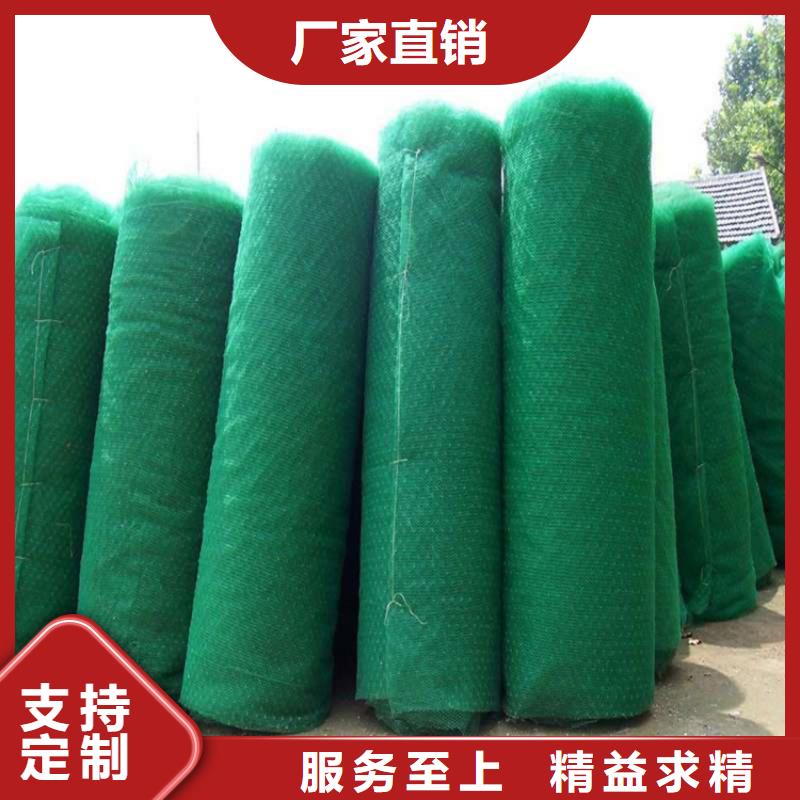 柳州三维土工网垫-三维植被网