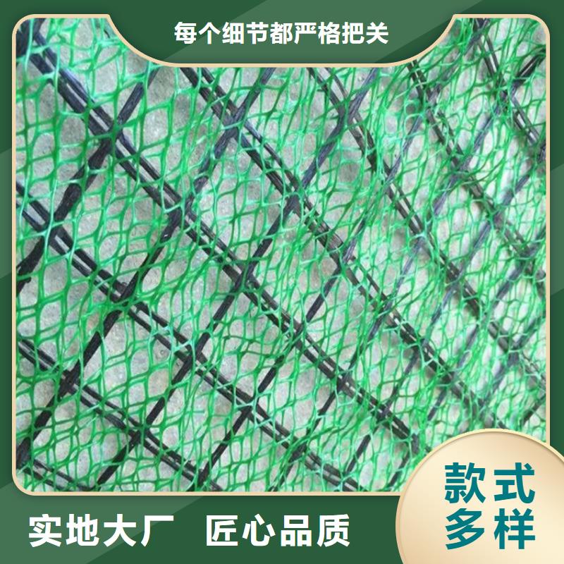 株洲EM4三维护坡植草网垫-三维护坡网垫
