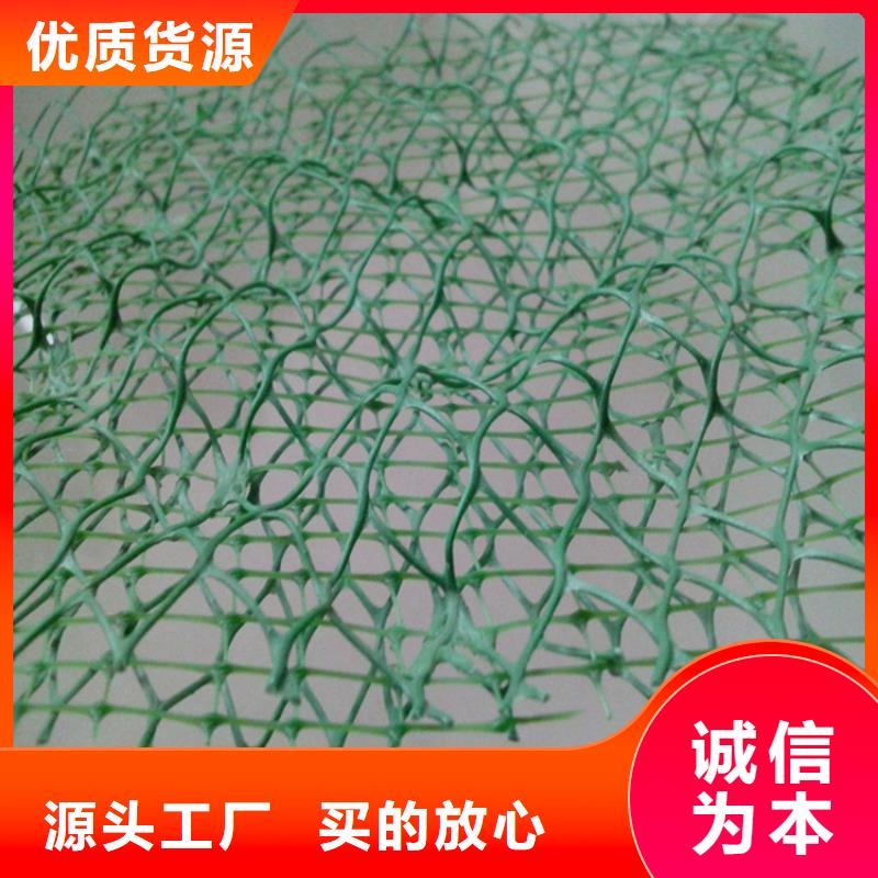 攀枝花三维土工网垫-三维加筋网垫