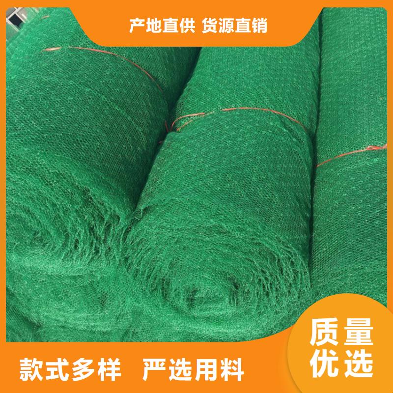 广安EM5三维护坡植草网垫-土工网垫
