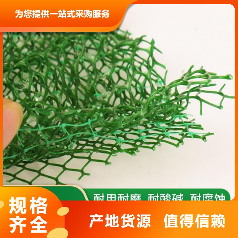 牡丹江三维植被网-三维土工网垫