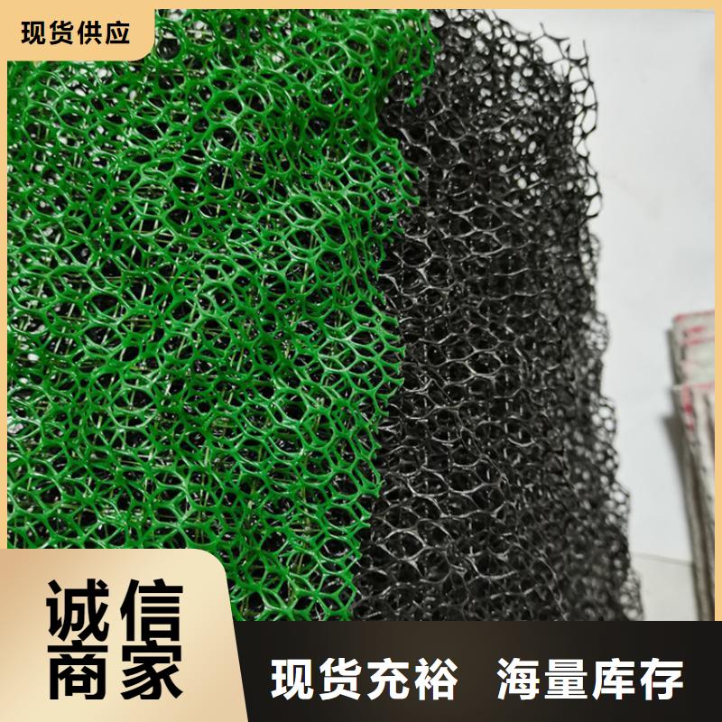 淮北环保塑料三维固土网垫