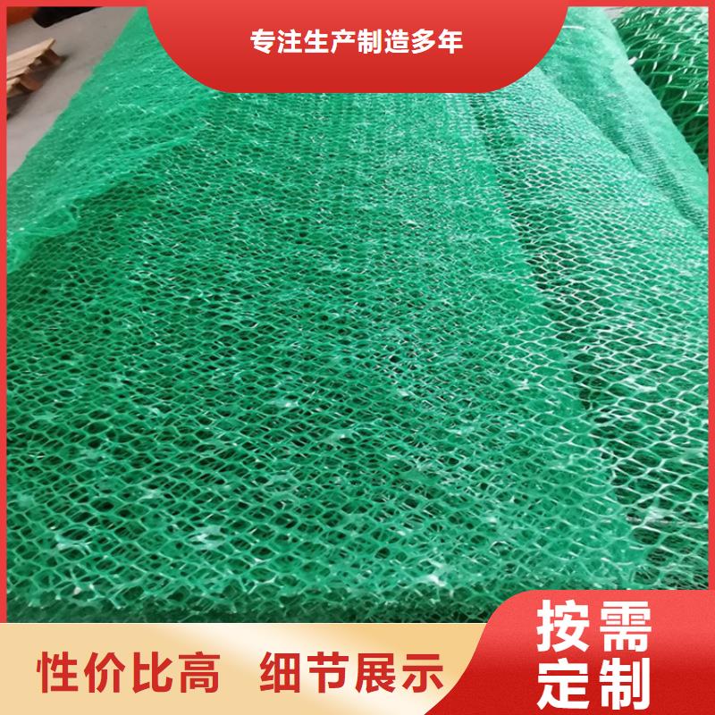 香港环保加筋三维土工网垫