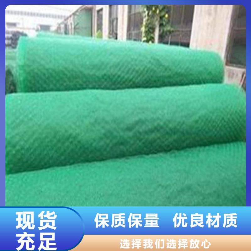 三维护坡植草网垫生产型