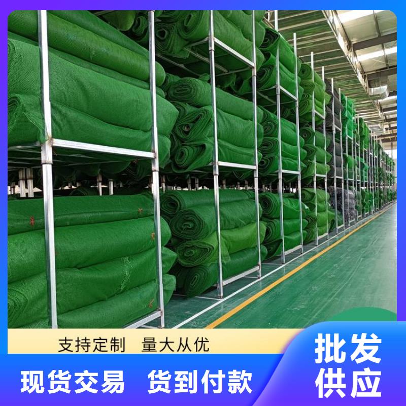 锦州三维土工网垫-EM2三维植被网