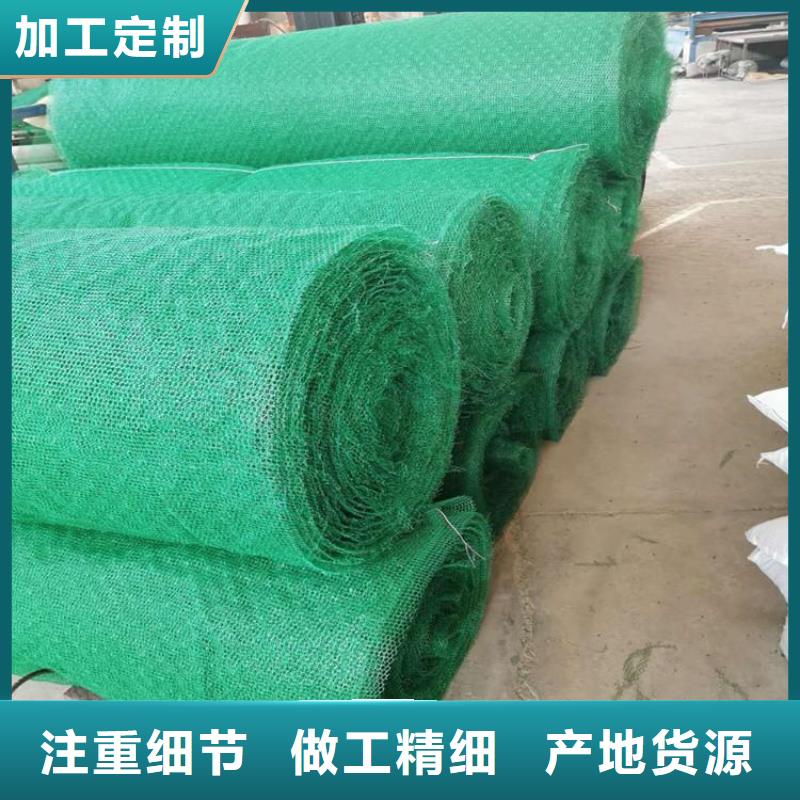 晋城绿化草皮三维固土网垫