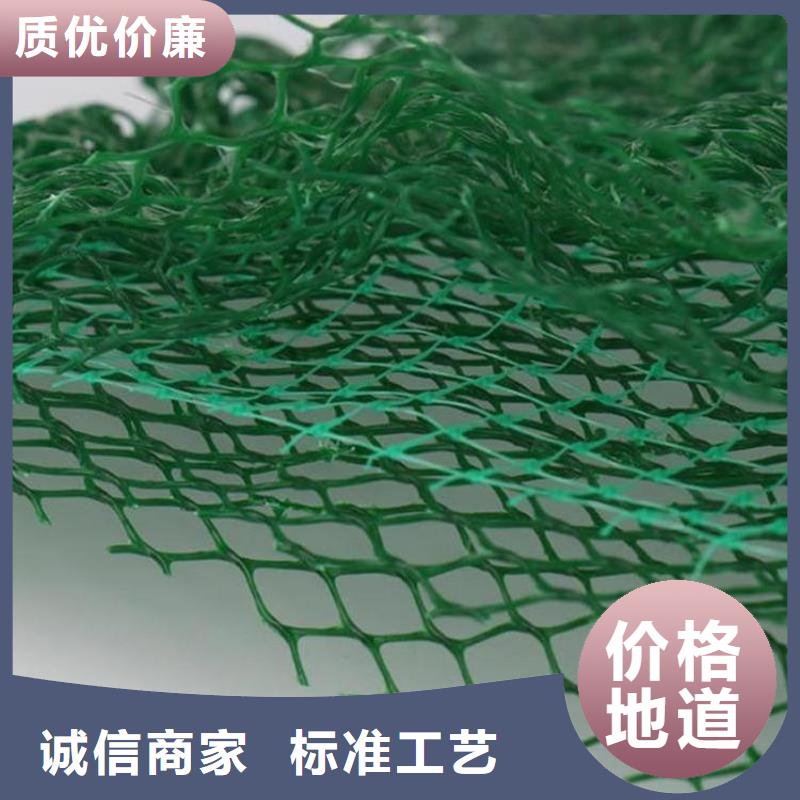 漯河三维植被网-EM5三维加筋网垫