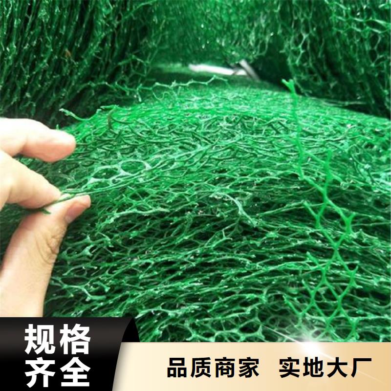 郑州绿化塑料三维植被网