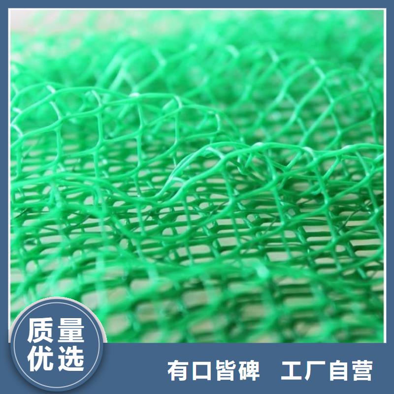 三维土工网垫-护坡三维植被网附近生产商