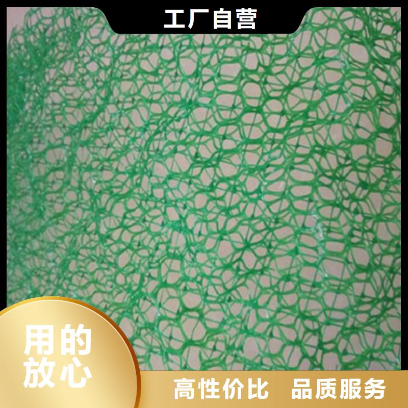 济南三维植被网-EM3三维加筋网垫