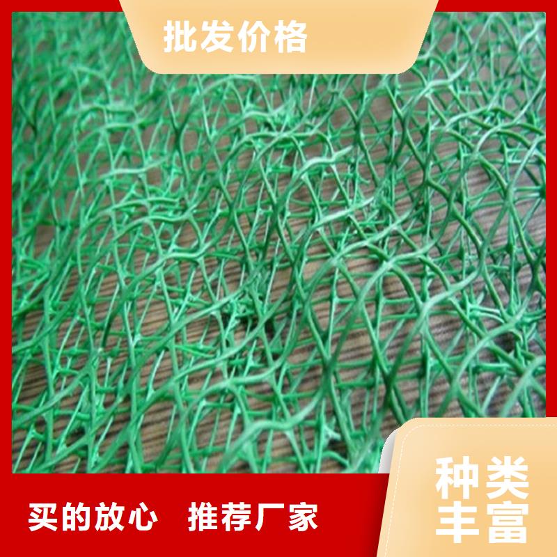 靖江三维植被网-EM3三维加筋网垫