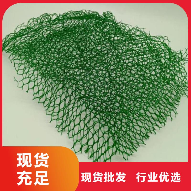 宁波环保塑料三维植被网