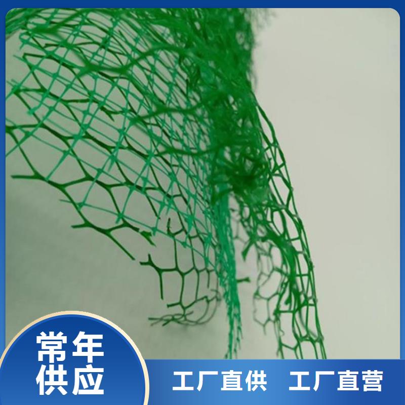 湖南塑料EM5加筋护坡植草网垫