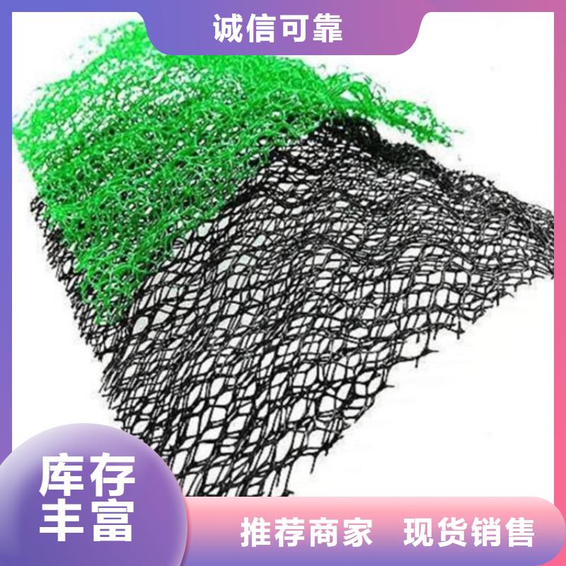 广州三维固土网垫厂家-价格更新