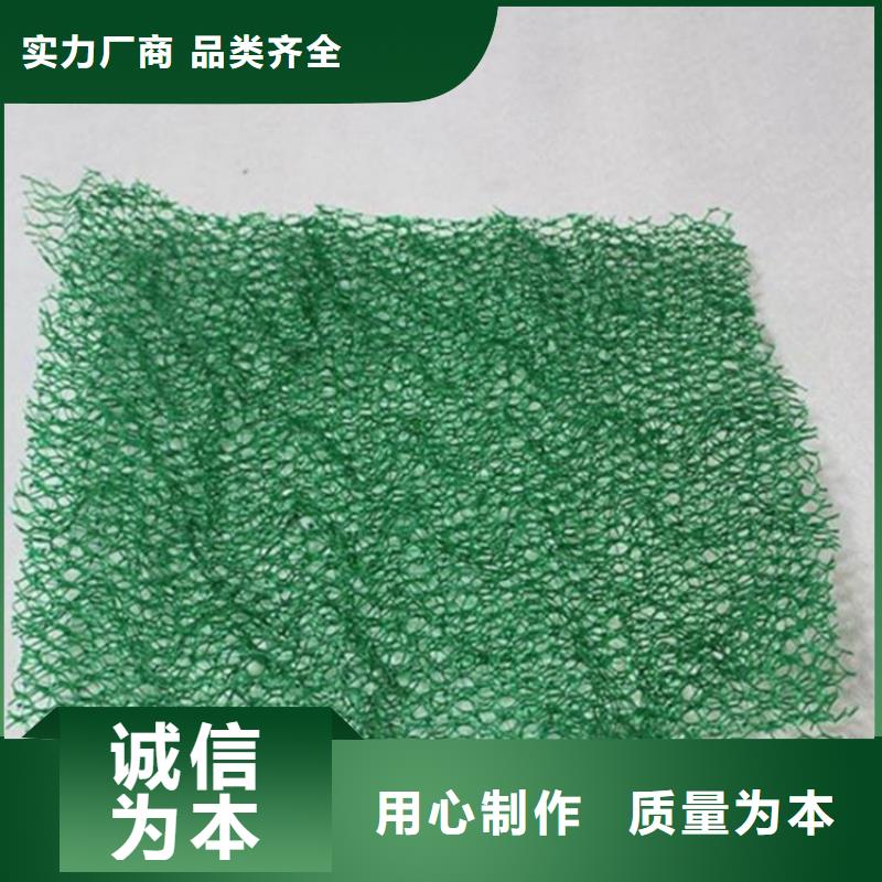 广安三维植被网-EM5三维护坡植草网垫