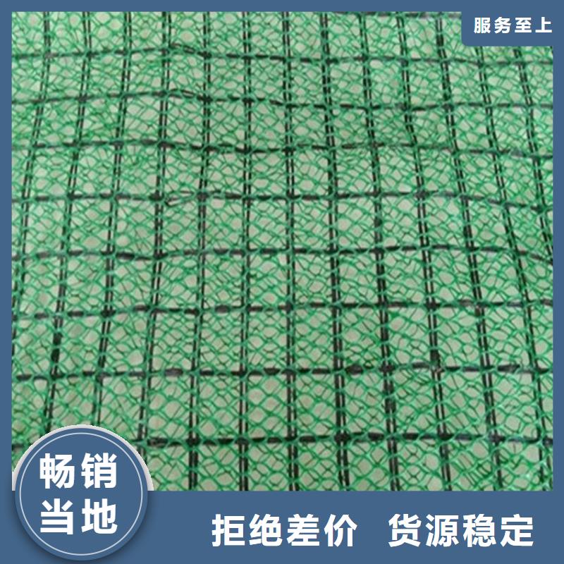 淮北三维土工网垫-EM4三维护坡植草网垫